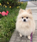 三条サポステスタッフ 主婦